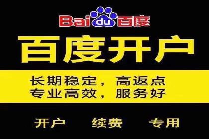 包年推广新篇章：百度竞价的多维度应用案例